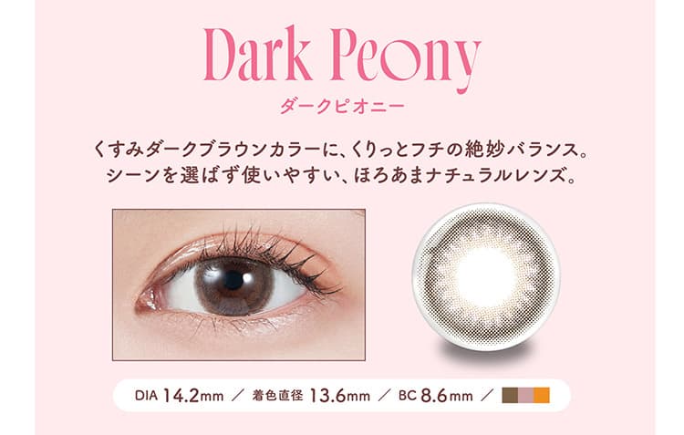 LE SSERAFIM（ルセラフィム）宮脇咲良イメージモデルMOLAK（モラク）ワンデー新色「ダークピオニー」詳細