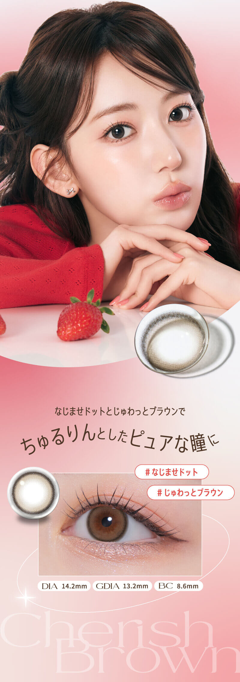 LE SSERAFIM（ルセラフィム）宮脇咲良イメージモデルMOLAK（モラク）マンスリー「チェリッシュブラウン」詳細