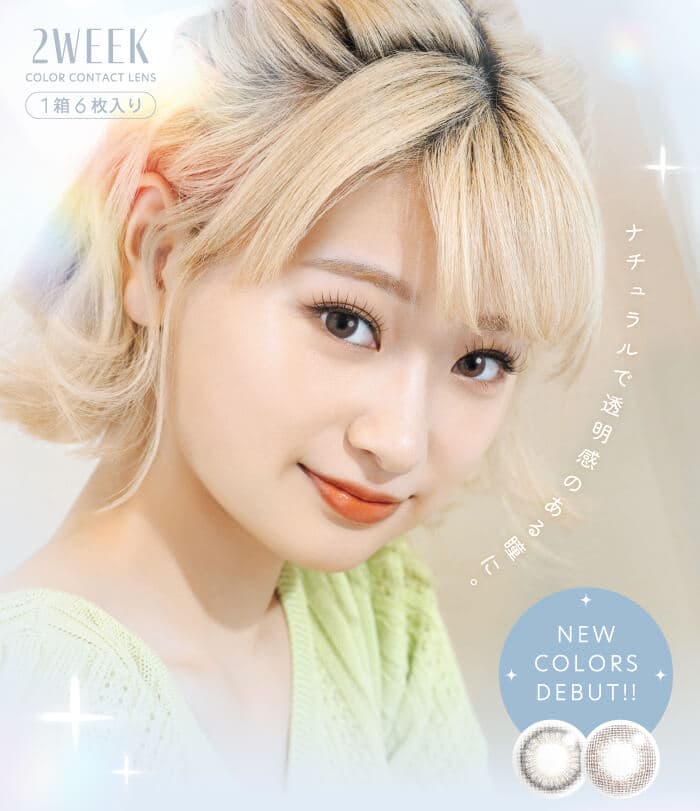 リッチスタンダード　2WEEK 6枚入 2週間交換(度なし・度あり）