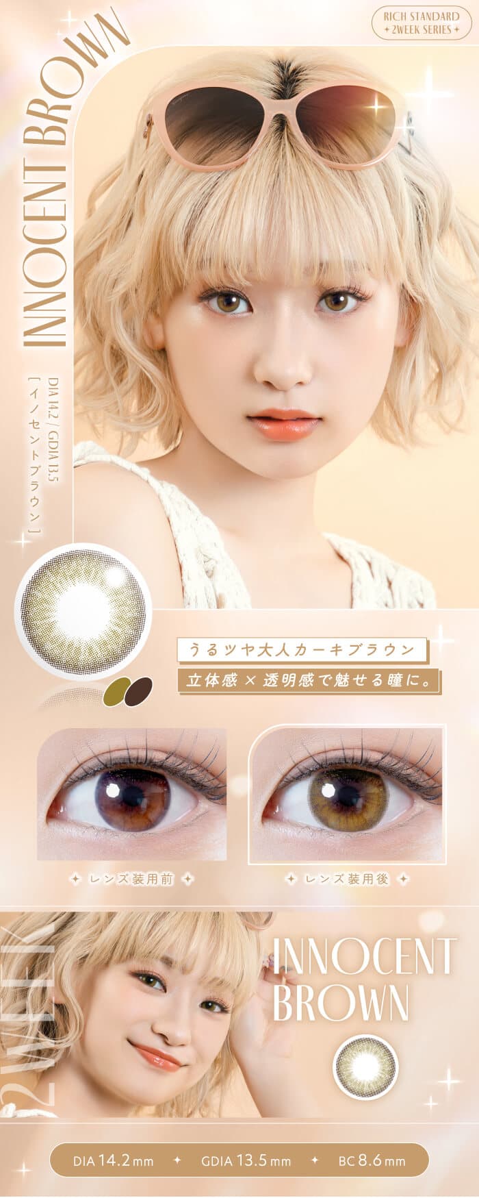 リッチスタンダード　2WEEK 6枚入 2週間交換(度なし・度あり）イノセントブラウン詳細