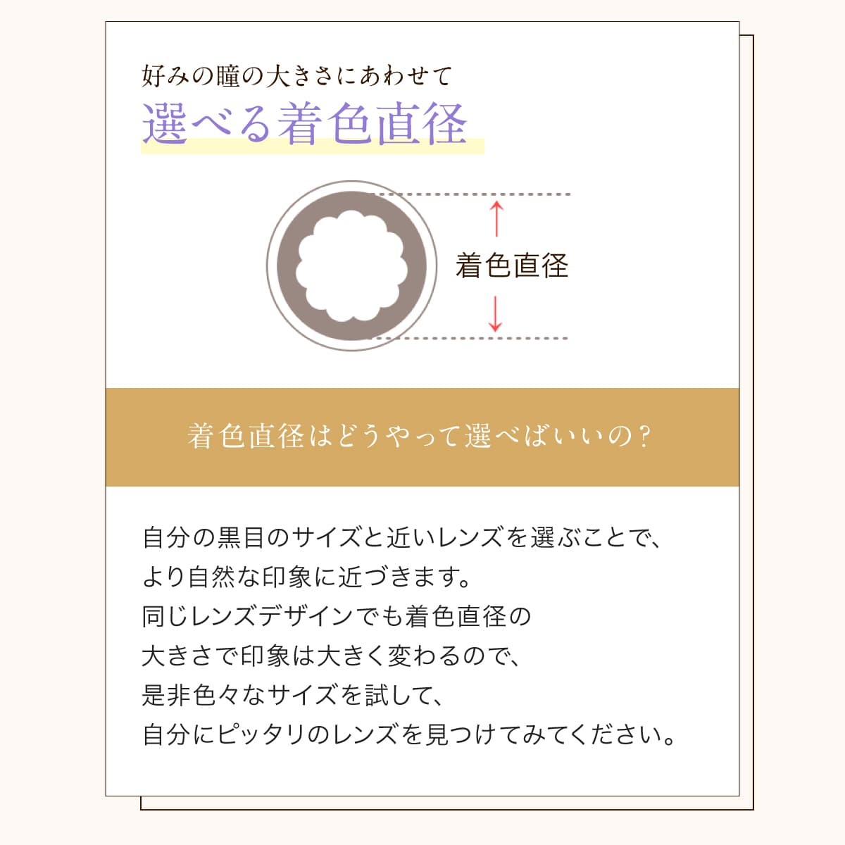 セレクトフェアリーマンスリーカラコン