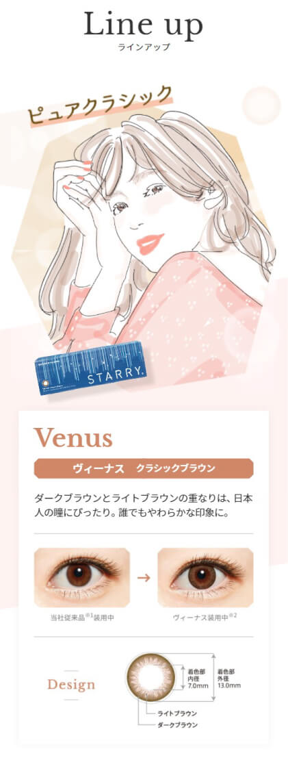 スターリークラシックブラウン