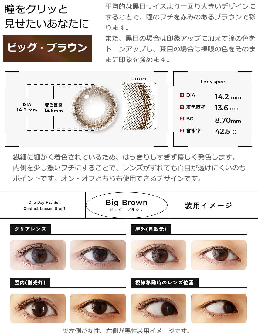 ステップワン(step1)ビッグブラウン