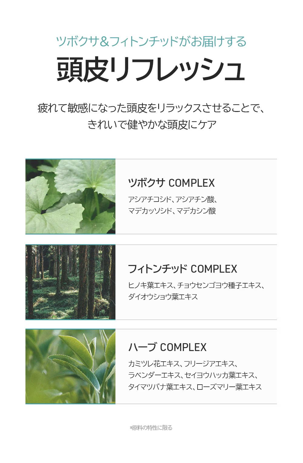 【バナナル(BANANAL)】ピュリファイング シャンプー 