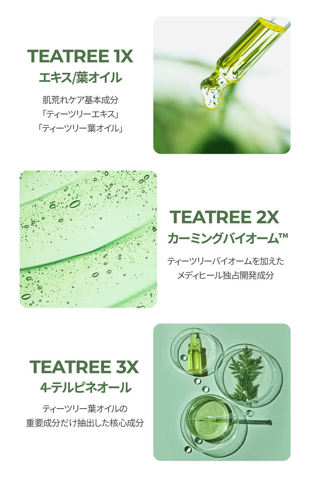 ティーツリーエッセンシャルマスクの成分について