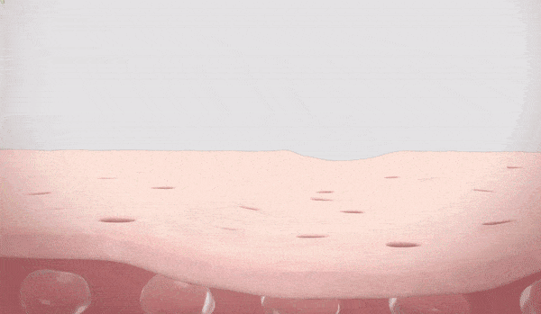 VT cosmetics リードルショット100毎日のケアをプレミアムにより滑らかな素肌へ