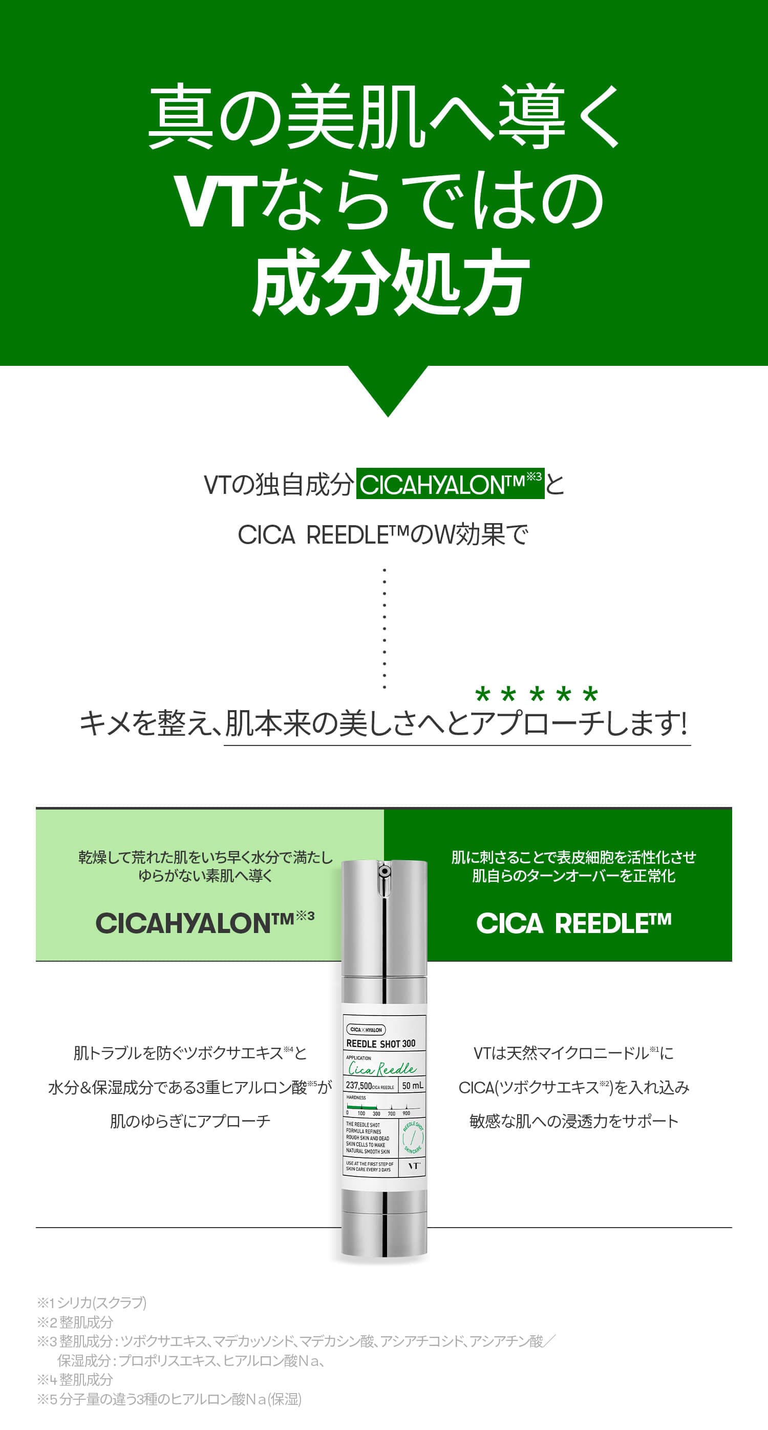 VT cosmetics リードルショット300　美容エステ級ケアをおうちで！きめ細やかな美肌へターンオーバー正常化