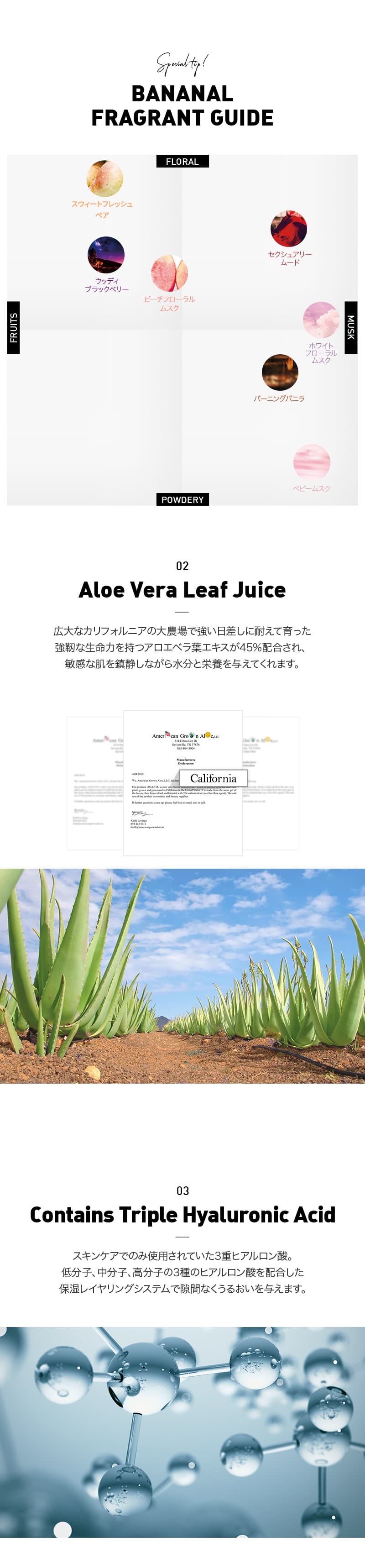 【バナナル(BANANAL)】パフュームドボディウォッシュ500ml 