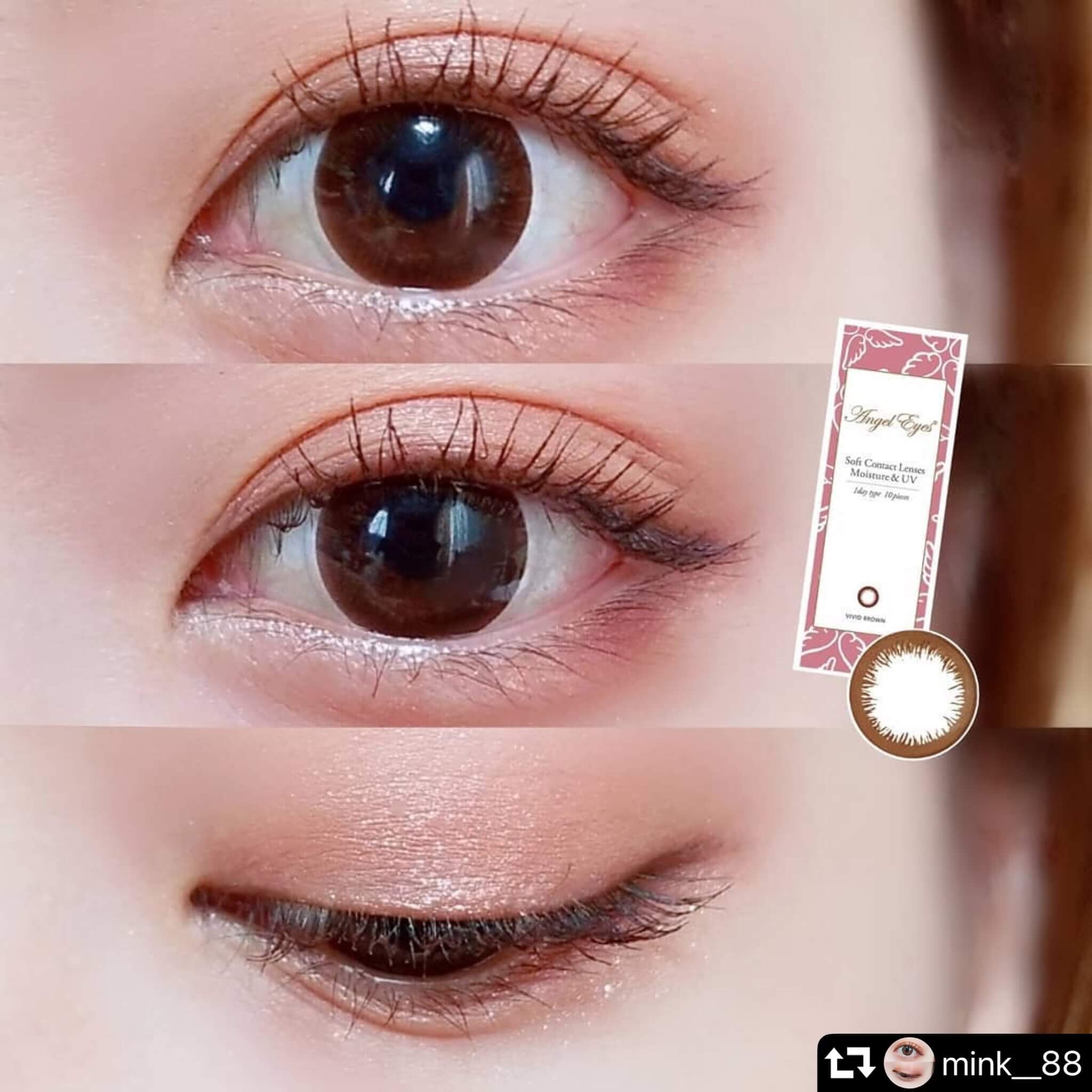 エンジェルアイズワンデー10枚入 インスタグラマー mink__88 さん