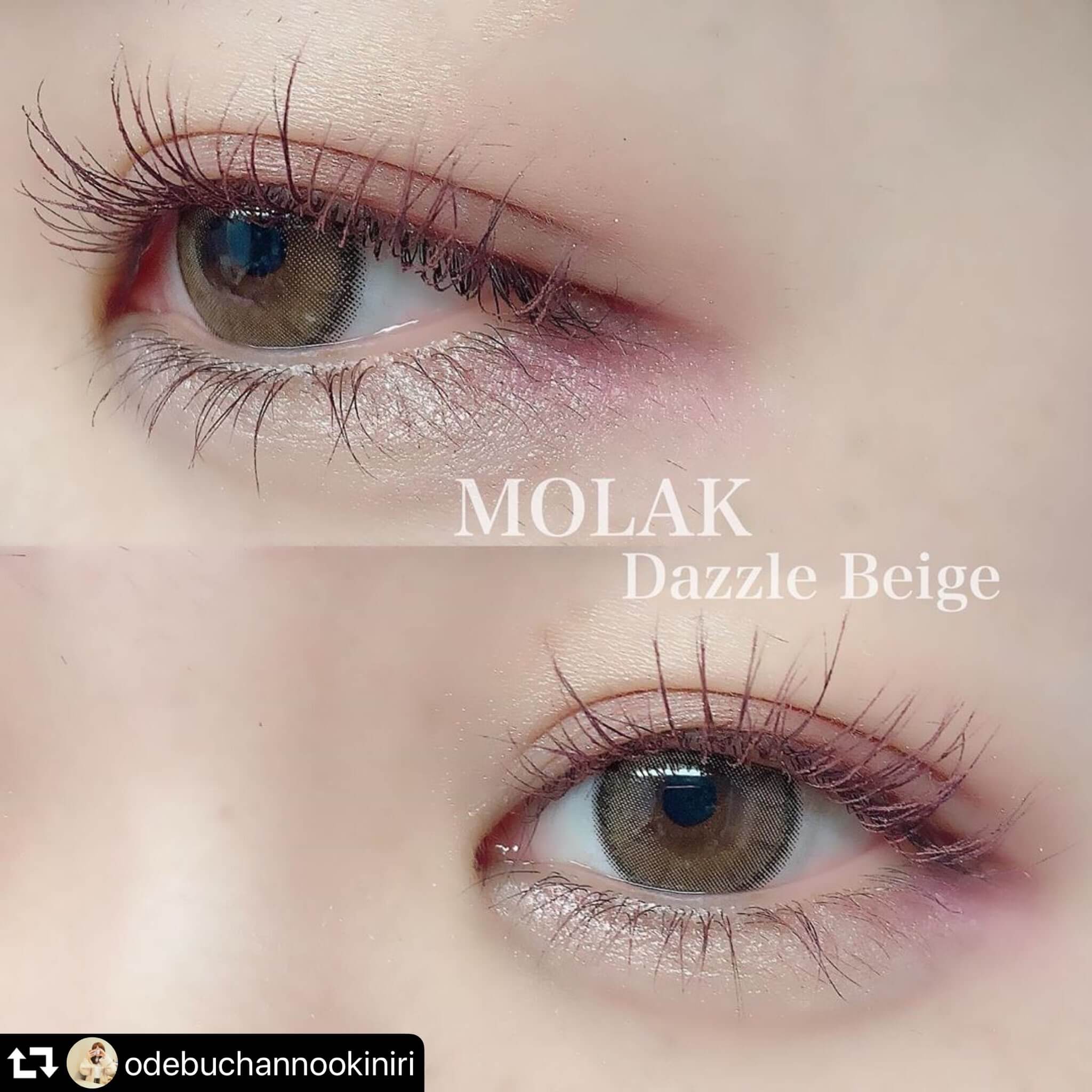 MOLAK 10枚入 MOLAK(モラク)ワンデーのダズルベージュ装用レポ