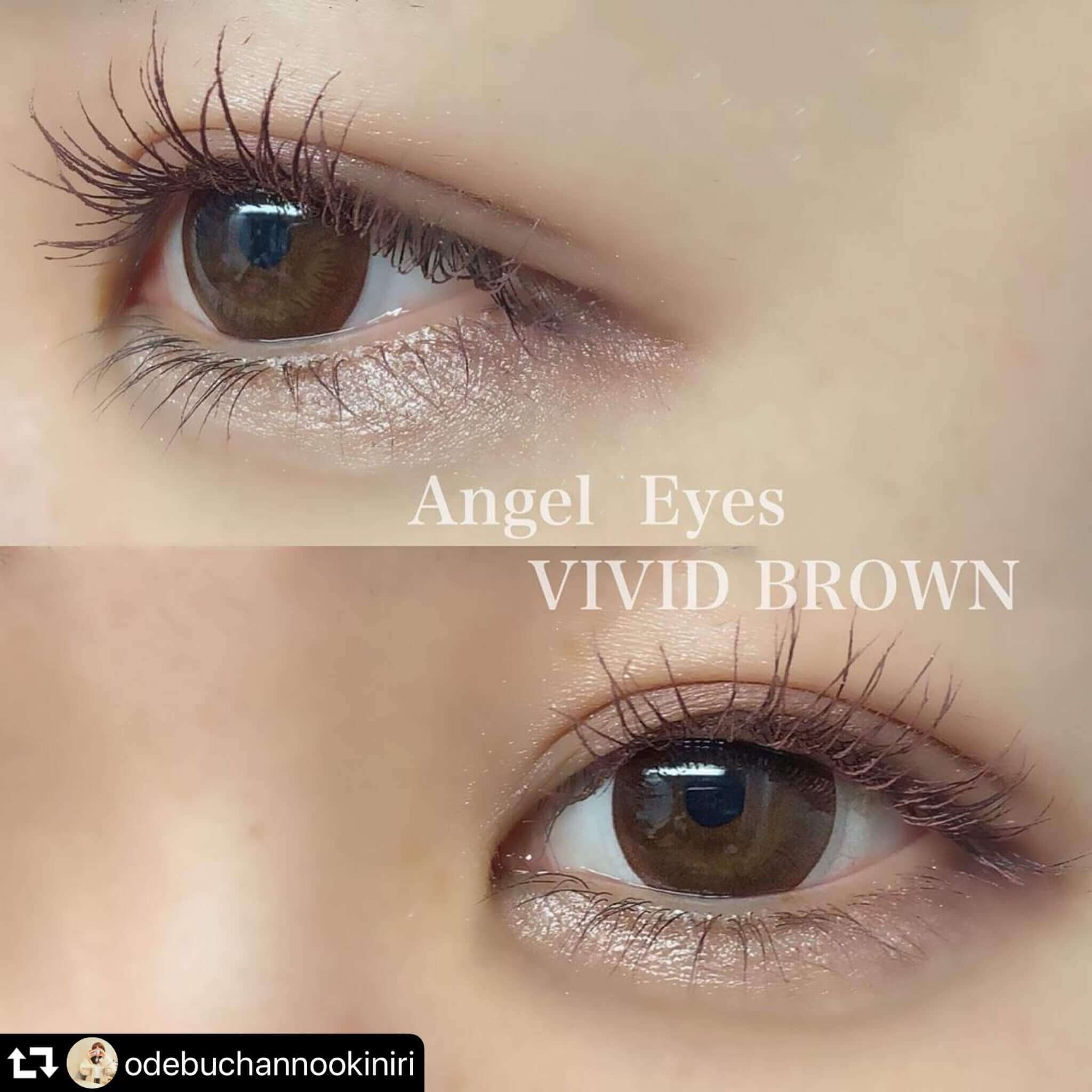 エンジェルアイズワンデー10枚入 インスタグラマー odebuchannookiniri さん