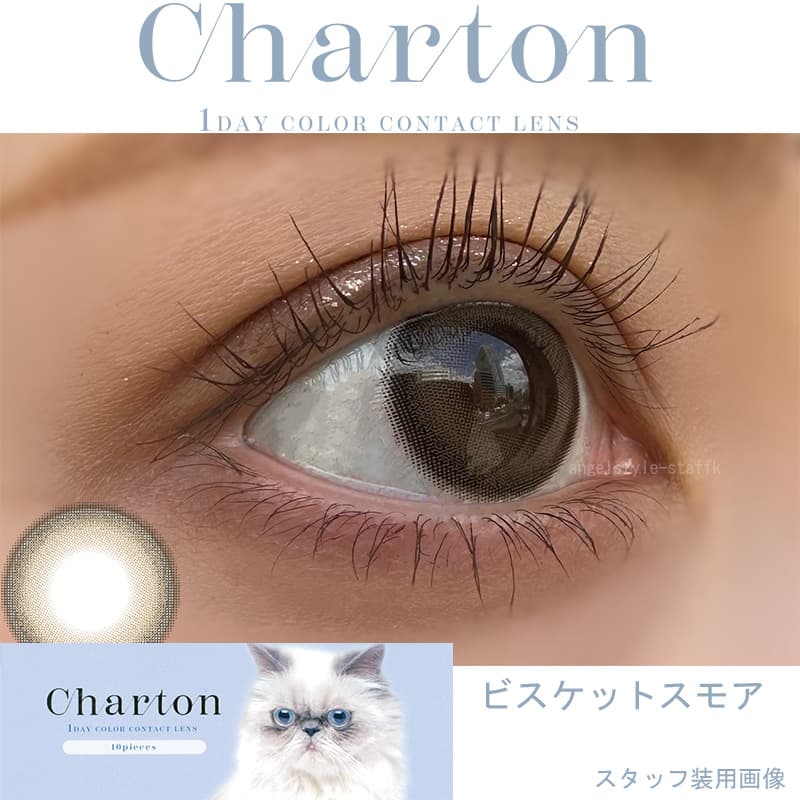 シャルトンワンデー(charton 1day) -本田紗来カラコン-本田三姉妹-ほんださらカラコン-Rayモデル-シャルトンワンデー「ビスケットスモア」レポ