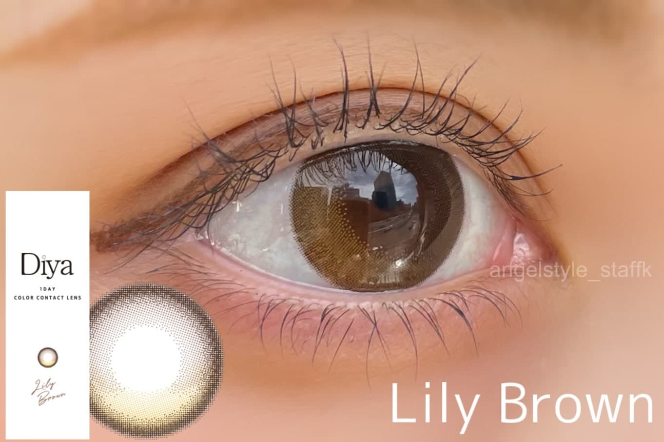 ダイヤワンデー「ミアブラウン」装用レポ画像