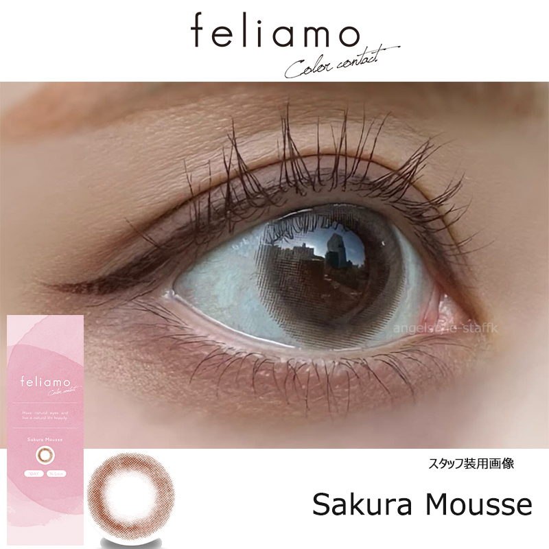 白石麻衣イメージモデルのフェリアモワンデー（feliamo）フェリアモ史上最大着色直径13.7mmの「サクラムース」