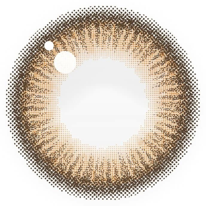 アプリコットブラウン-レンズ画像