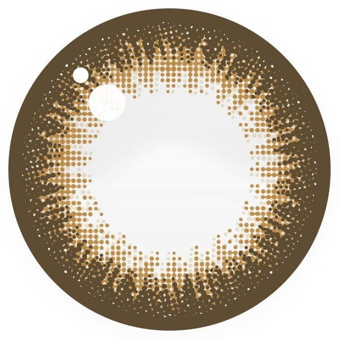 シャンパンブラウン-レンズ画像