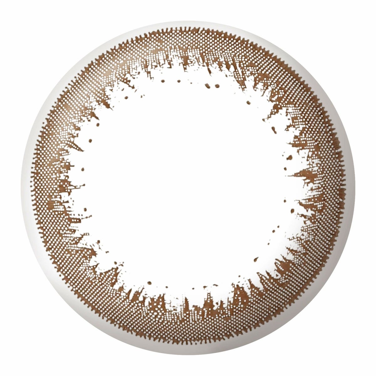 シェールブラウン-レンズ画像