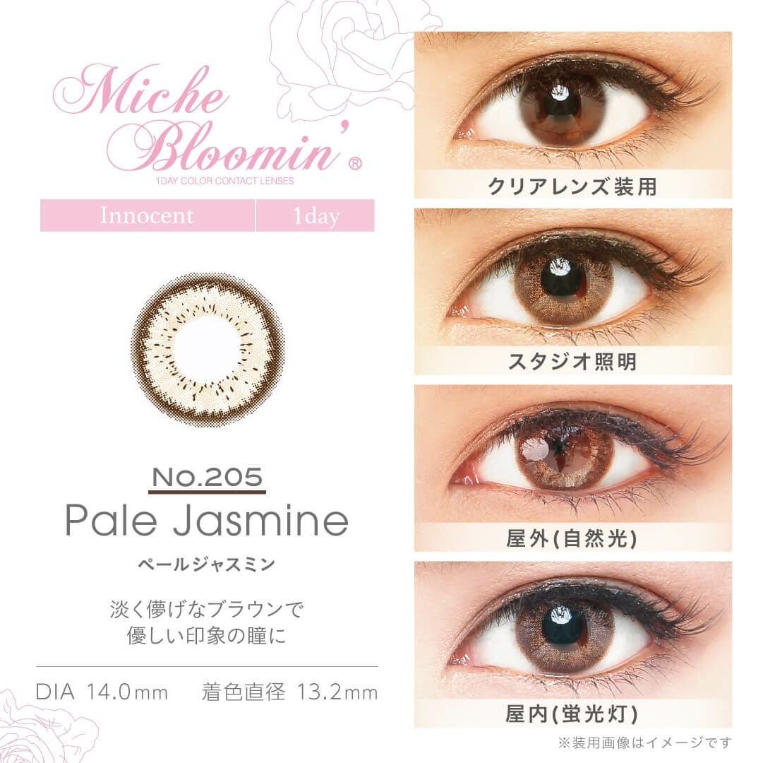 ペールジャスミン-イメージ画像2