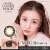 No6ブラウン-イメージ画像