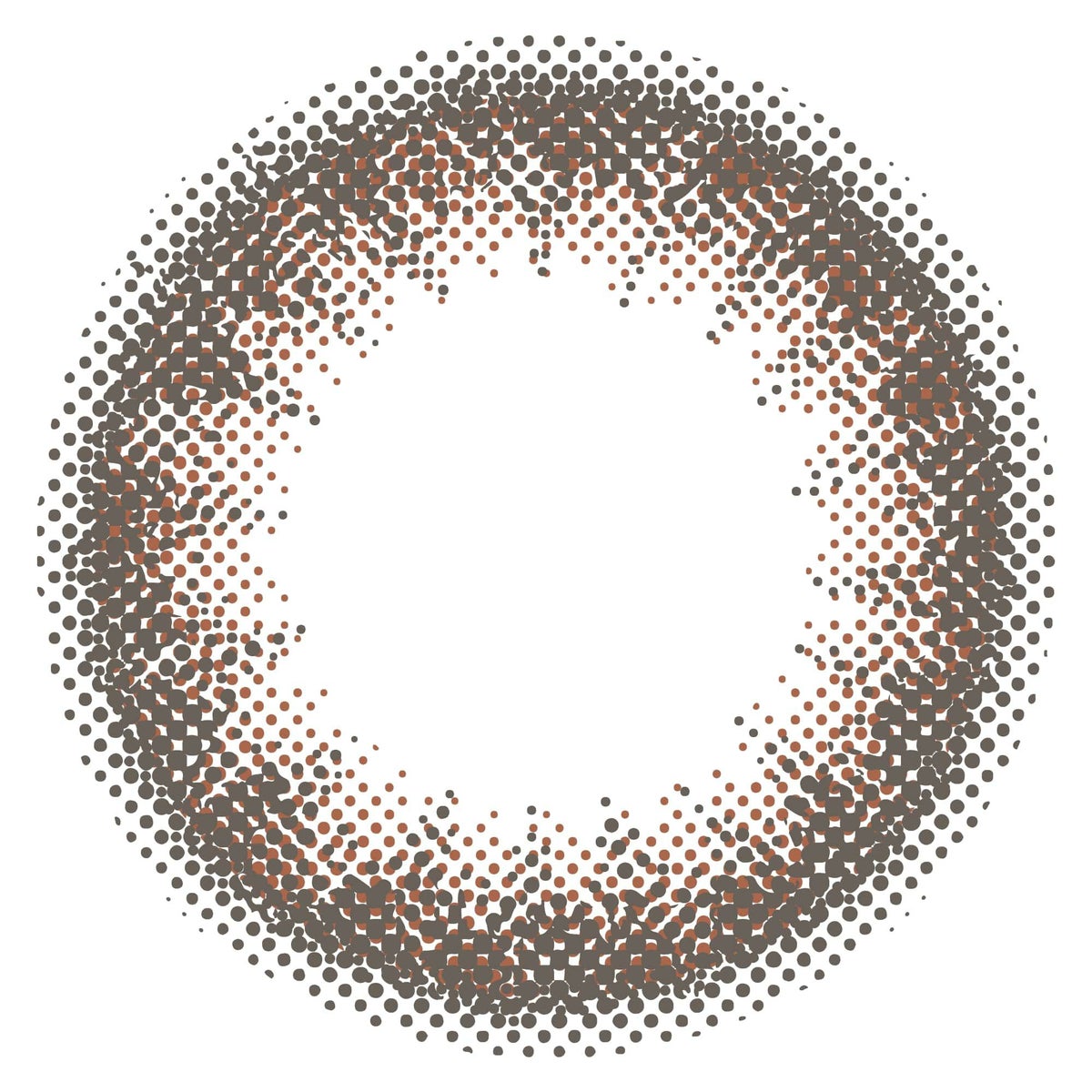 マルーンブラック-レンズ画像