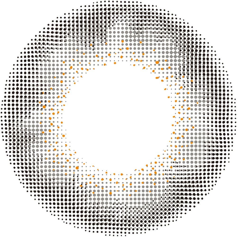 ラスティグレー-レンズ画像