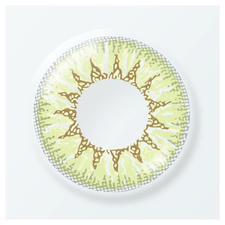 キウイソルベ-レンズ画像