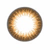 ブラウンブルーム-レンズ画像