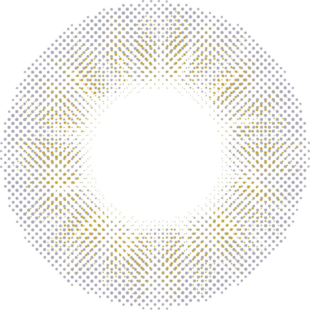 玉こんにゃく　レンズ画像