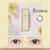 ブラウン-イメージ画像