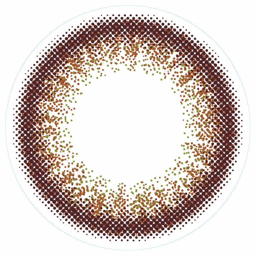 レディーブラウン-レンズ画像