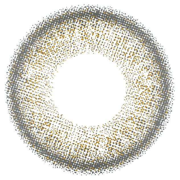 ジョイブラウン-レンズ画像