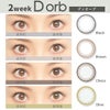 D orb(ディオーブ) 2week商品一覧