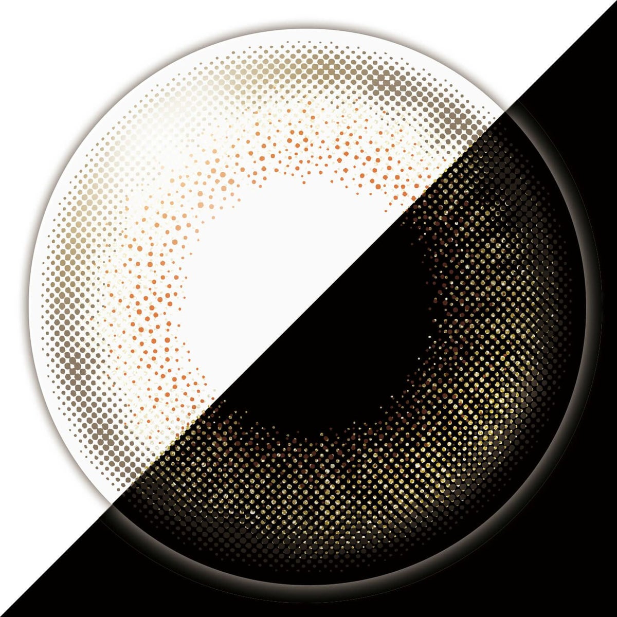 シルキージンジャー-レンズ画像