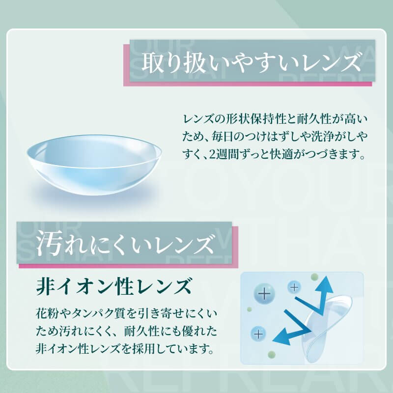 ツーウィーク リフレア(2week Refrear)6枚入