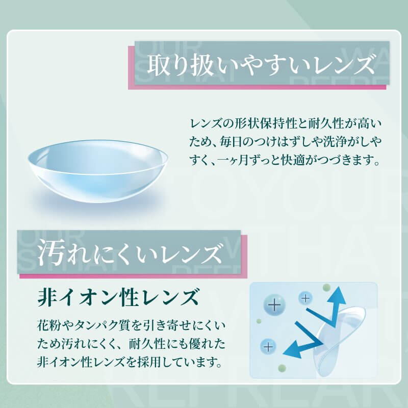 ワンマンスリフレア(1month Refrear)6枚入