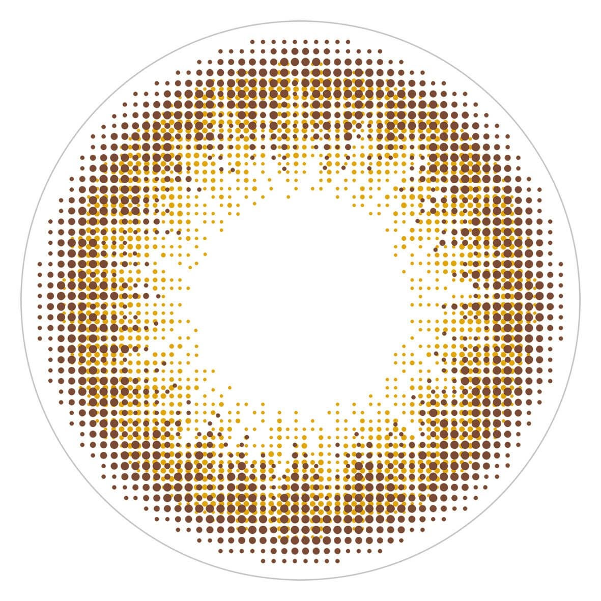 イデアル-レンズ画像