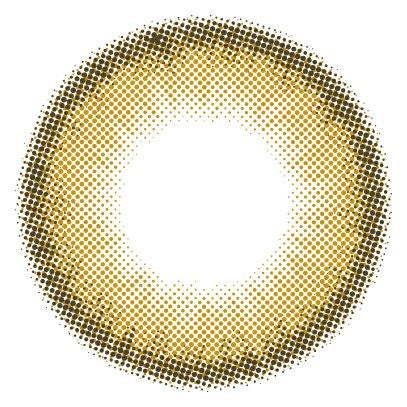 305ヘーゼル-レンズ画像