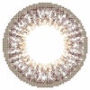 ショコラアッシュ-レンズ画像