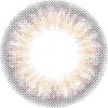 フラミンゴ-レンズ画像