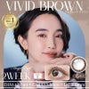 ヴィヴィッドブラウン-イメージ画像-エンジェルアイズ2weekUVM6枚入-サークルレンズ-2週間交換カラコン-2ウィークカラコン 