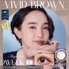 ヴィヴィッドブラウン-イメージ画像-エンジェルアイズ2weekUVM6枚入-サークルレンズ-2週間交換カラコン-2ウィークカラコン 