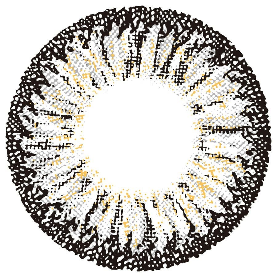 スパイシーグレー-レンズ画像