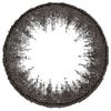 ロータスブラック-レンズ画像