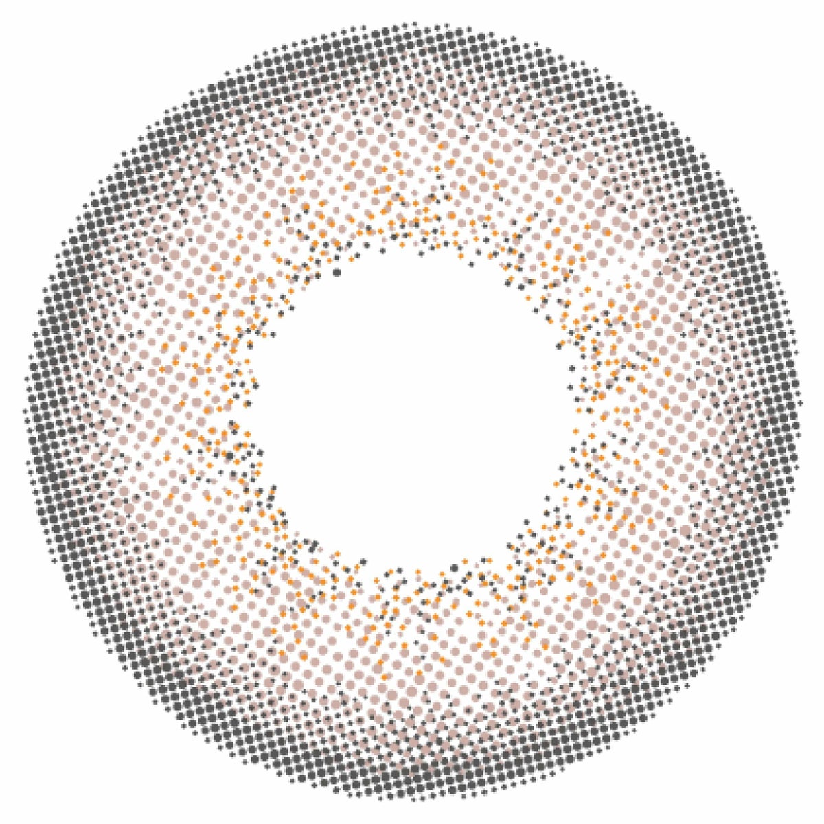 パールグレー-レンズ画像