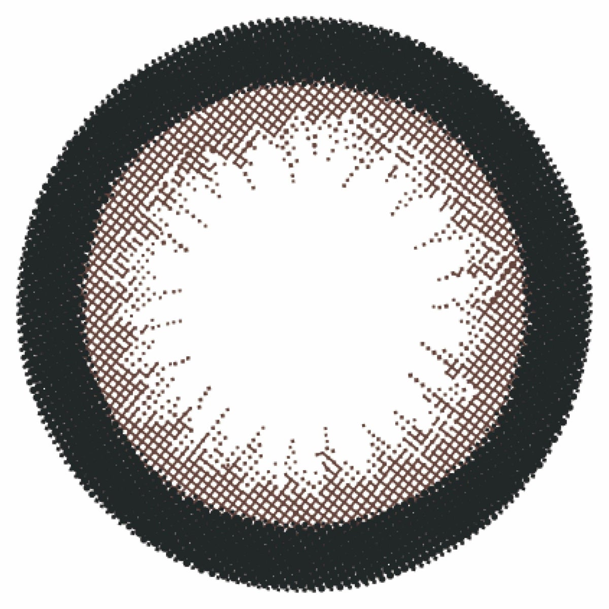 アーモンド-レンズ画像