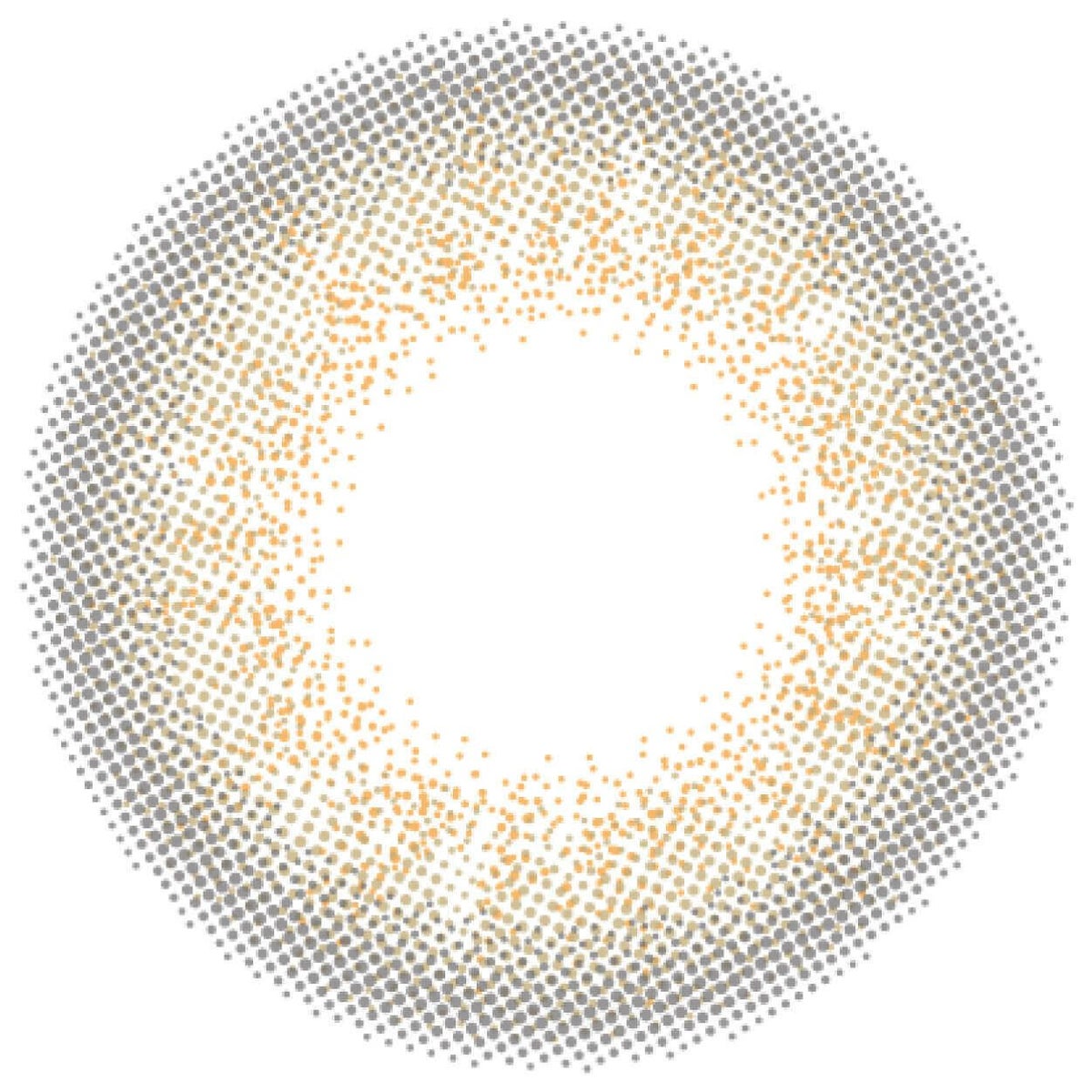 ラスターグレー-レンズ画像