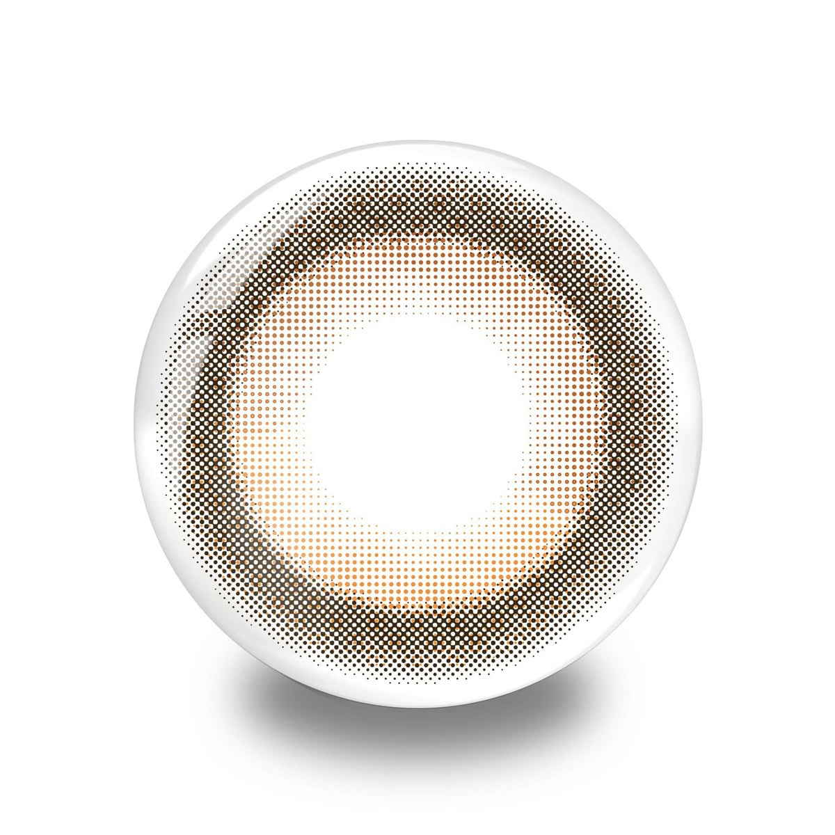 サニーベア-レンズ画像