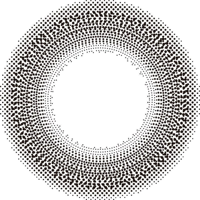 ナチュラルブラック-レンズ画像