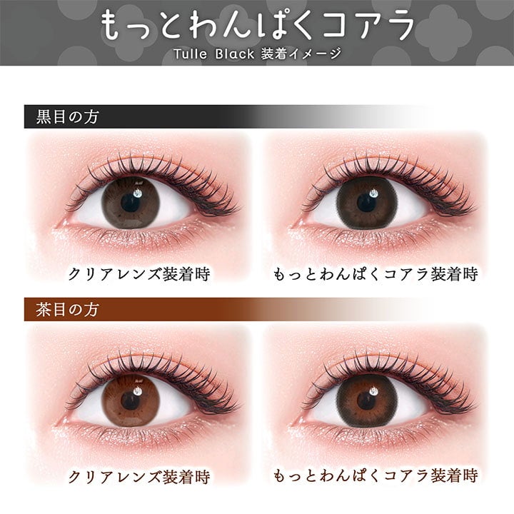 もっとわんぱくコアラ-