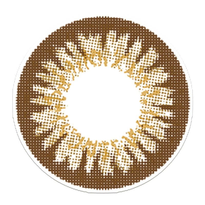 シャインブラウン-レンズ画像